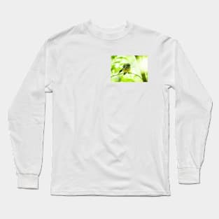 New Zealand fantail in tree with defocussed leaves and branches. Long Sleeve T-Shirt